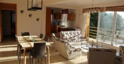 Grand et spacieux appartement, Flic en Flac