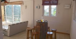 Grand et spacieux appartement, Flic en Flac